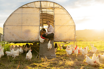 Image showing Poultry farm, black woman and chicken coop for sustainable farming outdoor on a field for meat, food and free range eggs. Farmer with animals to care and feed livestock on a sustainable ranch