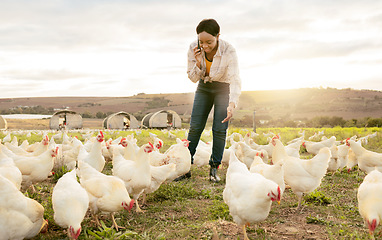 Image showing Chicken farmer, phone call and black woman on farm, talking or discussing meat delivery deal. Poultry, sustainability and small business female or worker speaking to contact on 5g mobile smartphone.