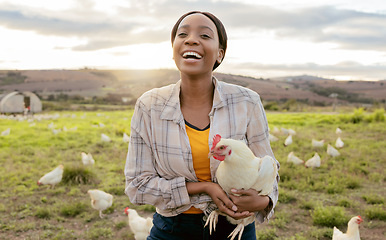 Image showing Farmer, chicken and black woman, happy and working on agriculture, small business and sustainability countryside. Farmer worker, smile and animal sustainable farming outdoor in nature with poultry