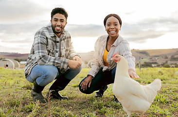 Image showing Farm, livestock and portrait of a couple with a chicken on an agriculture, sustainable and green field. Poultry, eco friendly and agro man and woman with a animal to monitor growth in the countryside