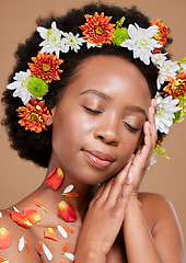 Image showing Beauty flower, crown or relax black woman in brown studio background for beauty, skincare or facial wellness model. Face portrait, skin or luxury girl in spa with flowers or plants for spring in hair