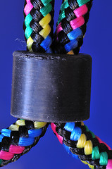 Image showing Bungee Cord 