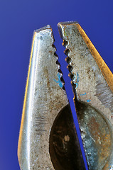 Image showing Pliers Tool