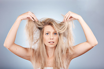 Image showing Hair, portrait and woman in studio for hair care, problem and fail or hair loss against grey background. Confused, girl and model with split ends, dry and tangle, damaged hair and frizz with mockup