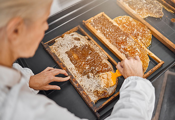 Image showing Beekeeper, honey production and honeycomb at farm for food, health or nutrition industry. Bee farmer, agriculture and insect farming for sweet, natural or sustainability with woman, scrape or harvest