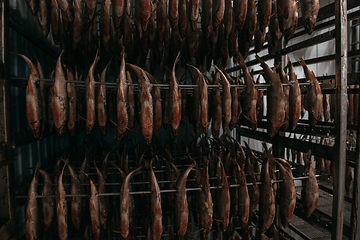 Image showing Smoked fish production concept