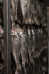 Image showing Smoked fish production concept