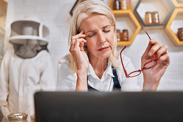 Image showing Woman, headache and entrepreneur stress and anxiety, honey salesperson, small business owner stressed out with digital sale report on laptop. Business crisis, store problem and burnout with glasses.