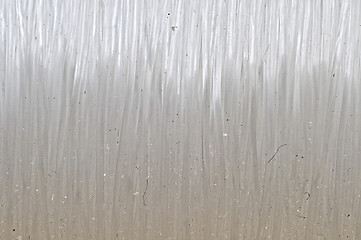 Image showing Monofilament Fishing Line Macro