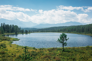 Image showing Lake in the Altai Mountains