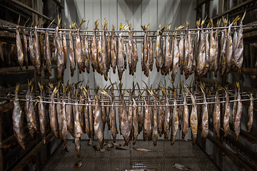 Image showing Smoked fish production concept