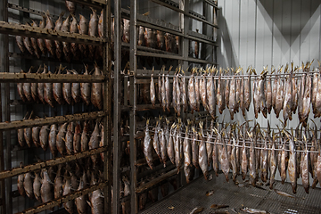 Image showing Smoked fish production concept