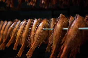 Image showing Smoked fish production concept