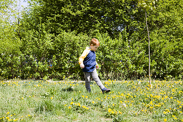 Image showing walk in the spring