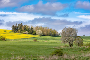 Image showing Beautiful spring countryside scenery, Czech Republic.