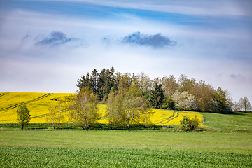 Image showing Beautiful spring countryside scenery, Czech Republic.