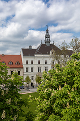 Image showing Town hall in Valtice, South Moravia, Czech Republic