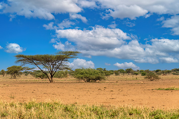 Image showing Savanna in the Awash National Park, Ethiopia