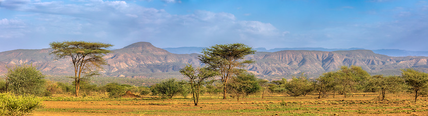 Image showing Savanna in the Awash National Park, Ethiopia