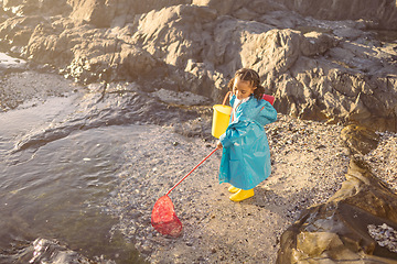 Image showing Girl, beach and fishing with net in rock pool, water or ocean with boots, bucket and coat in sunshine. Black child, sea and outdoor for fish, marine life or animal in nature, learning and adventure