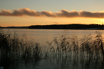 Image showing winter sun