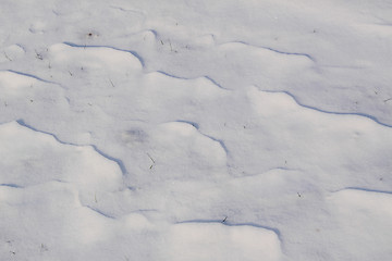 Image showing snow field