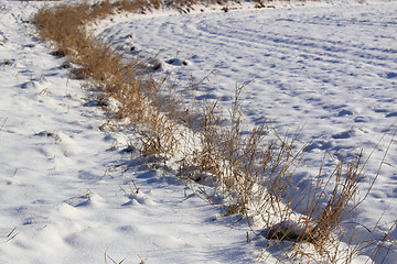 Image showing snow field