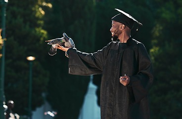 Image showing Black man, graduation and birds for achievement, success and goals of future, dreams or education motivation. Happy graduate holding pigeons in hands in celebration of academic pride, hope and event
