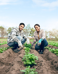 Image showing Agriculture, soil and farming couple gardening plants or vegetables growth on an agro, eco friendly land for green supplier market. Countryside, sustainable and farmer people portrait with fertilizer