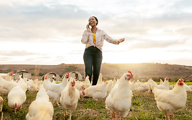 Image showing Chicken, farmer and black woman with smartphone, phone call for chicken farming business and agriculture. Farming poultry and organic free range livestock with countryside field and communication.