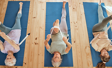 Image showing Gym, fitness, and elderly women group in yoga class from above, stretch and wellness exercise for cardio health together. Friends, seniors and stretching on studio floor by active seniors training