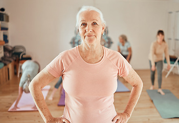 Image showing Portrait, elderly woman and yoga class with coach for wellness, exercise and health, workout and relax in a studio. Proud, yoga coach and senior lady leader with group for meditation, training and ze