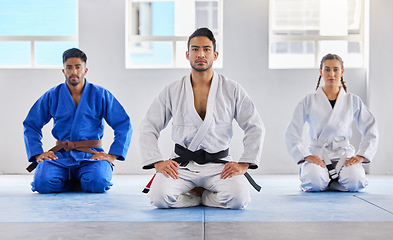 Image showing Portrait, training and karate group with coach in dojo ready for exercise or workout. Taekwondo, martial arts or group of students kneeling with teacher preparing for fight, match or fitness practice