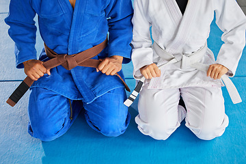 Image showing Karate, hands and belt with a sensei and student kneeling on a floor mat in a dojo or gym for fight class. Team, fitness and learning with a coach and fighter training in a health club together