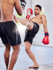 Image showing Fitness, kickboxing and mma training, exercise and fight workout in gym with men, gloves and power kick. Fight, athlete or martial arts, coaching or fighting in cardio sports or studio class together
