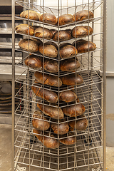 Image showing Fresh bread inside of a bakery