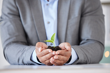 Image showing Businessman, hands and plant growth for agriculture sustainability, startup development and green energy. Corporate enviroment, nature innovation and man with sustainable carbon footprint solidarity