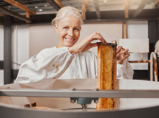 Image showing Portrait, beekeeper and honey manufacturing, process and frame in agriculture factory, workshop and industry. Farmer employee, happy smile and farming production, manufacturing and honeycomb process