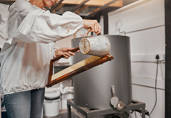 Image showing Beekeeping, frame and senior woman preparing a bee frame for the production of honey at a farm. Small business, agriculture and beekeeper working on a honeycomb structure for bees for farming