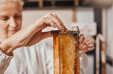 Image showing Beekeeper, honey and frame with manufacturing, production and working in a factory, workshop and bee farm. Agriculture worker, process honeycomb and farming natural resource in warehouse with farmer