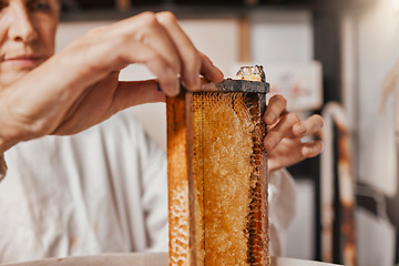 Image showing Honeycomb, beekeeping and hands of woman on sustainable farm for honey, beeswax and food in agriculture industry. Bee farmer in workshop for harvesting frame, production and manufacturing process