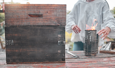 Image showing Beekeeper, fire and production of honey for food, sustainability and small business on a farm. Agriculture, sustainable and business owner working on start of eco friendly honeycomb farming in nature