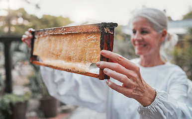 Image showing Beekeeper, happy and honey production with frame, honeycomb or harvest of food, health or nutrition. Woman, bee farmer and smile for agriculture for organic natural, product or success at apiary farm
