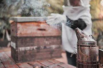 Image showing Smoker, honey and beekeeping with a woman farmer working outdoor by a beehive in the countryside. Agriculture, sustainability and farm with a female beekeeper at work in the production industry