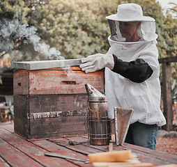 Image showing Box, beekeeper and farm agriculture inspection of honey, honeycomb and wooden hives farming. Beekeeping farmer woman working in professional suit for outdoor protection for natural insects.