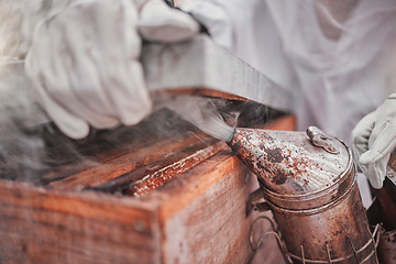 Image showing Beekeeper, bee bellows and smoke in hands closeup at apiary farm, agriculture or industry. Beekeeping, protective suit and zoom working with nest box for bees, safety and farming for honey production