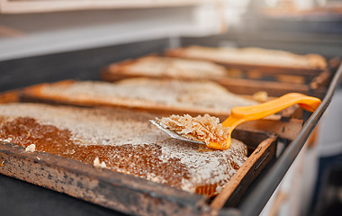 Image showing Honey, closeup and frame with scrape tools for beekeeping, agriculture or food in factory production. Harvest, bees honeycomb or apiculture workshop with uncapping fork, natural product farming