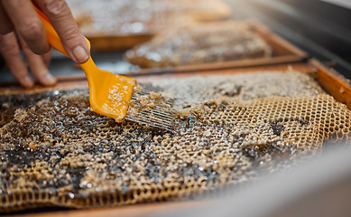 Image showing Honey, frame and closeup of scrape tools for bee farming, agriculture or food in beekeeping production. Beekeeper, honeycomb and apiculture worker with uncapping fork, natural product or work at farm