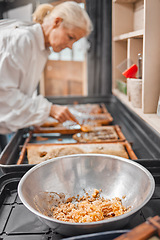 Image showing Bee wax and honey farm agriculture woman working with organic, raw and healthy honeycomb. Production, process and beekeeper expert harvesting natural honey for health, farming and beeswax.