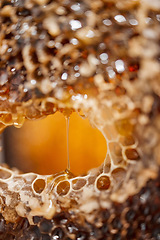 Image showing Nature, honeycomb and texture drip macro for nutrition, health and bee farming production. Natural, textures and zoom of raw, organic and golden honey process for a healthy lifestyle.